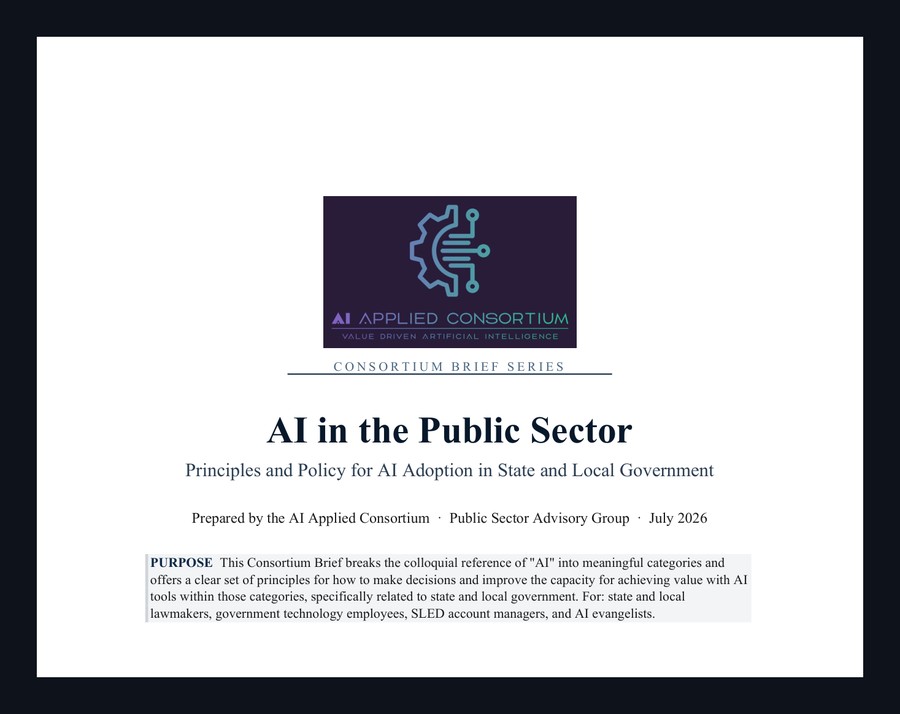 AI in the Public Sector, Consortium Brief Series